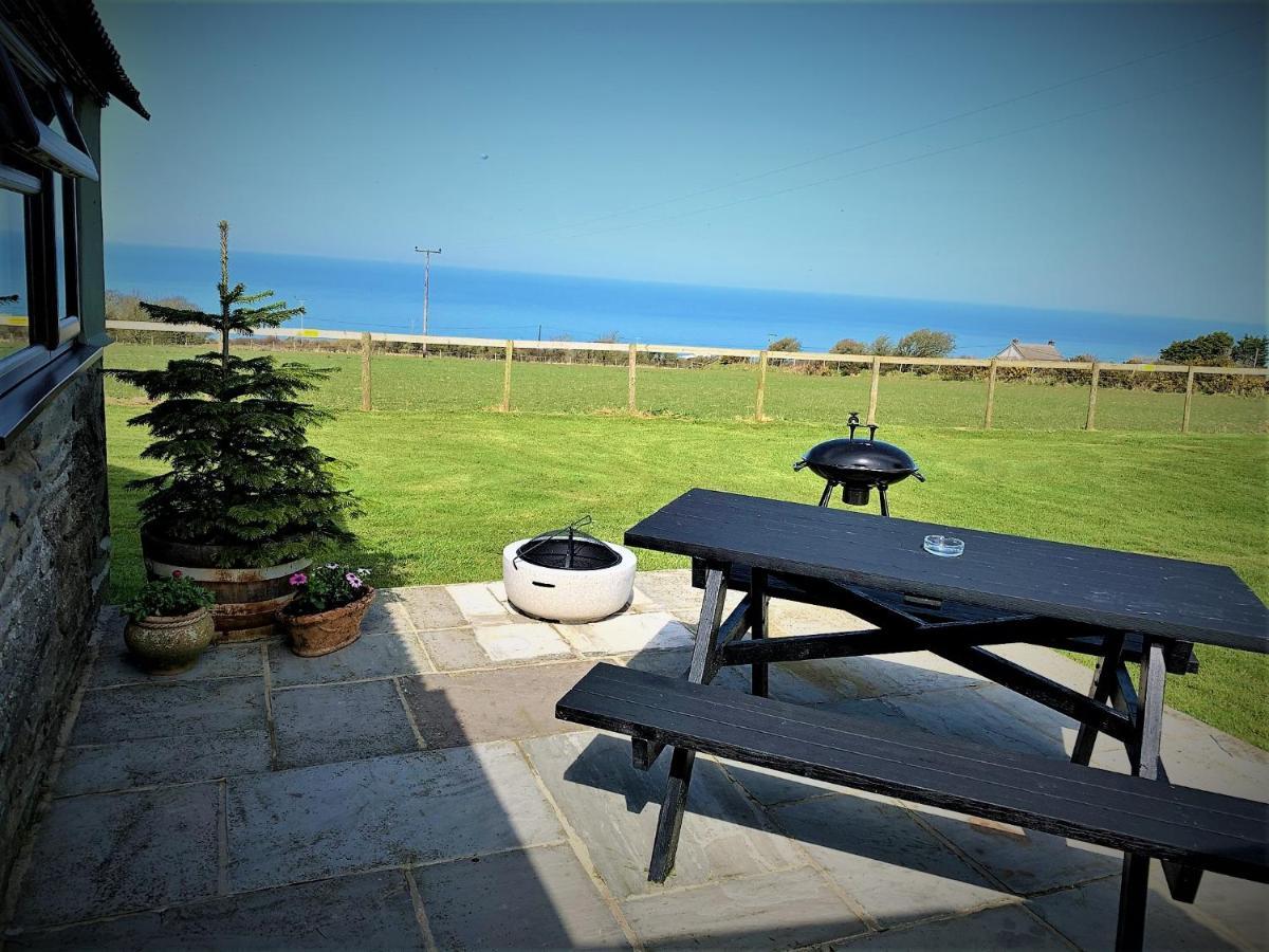Byre Cottages & Log Cabin Cardigan Exteriér fotografie