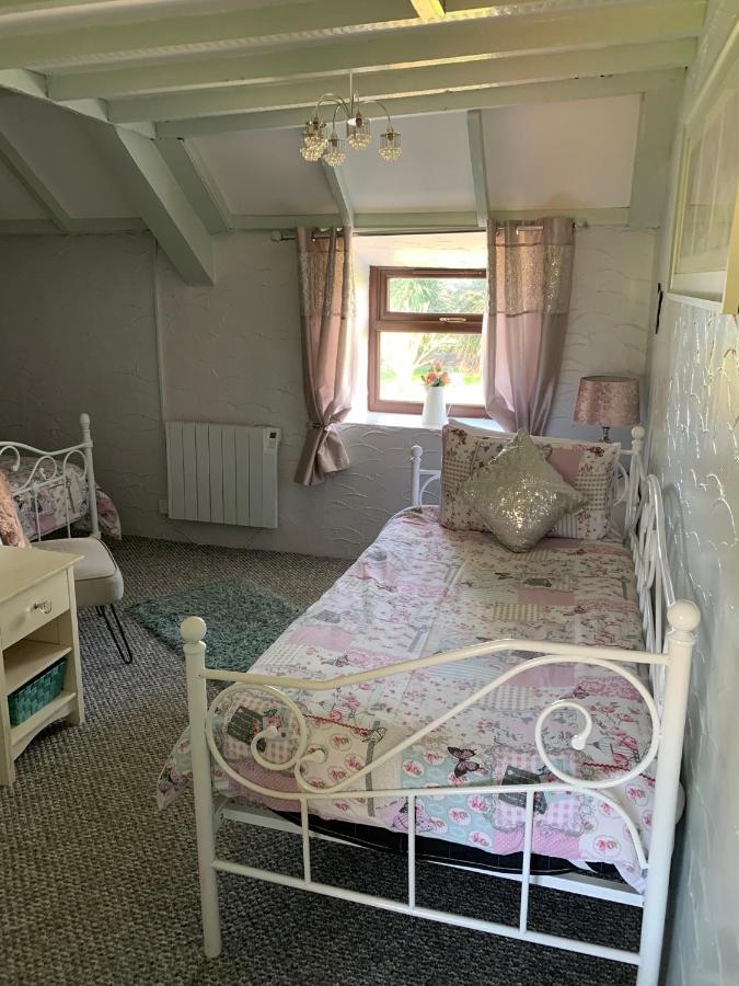Byre Cottages & Log Cabin Cardigan Exteriér fotografie